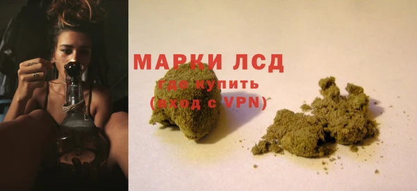 ECSTASY Богородицк