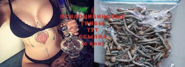 дурь Беломорск