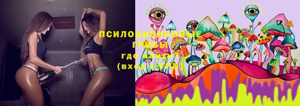 ECSTASY Богородицк